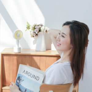 explosion desktop fan