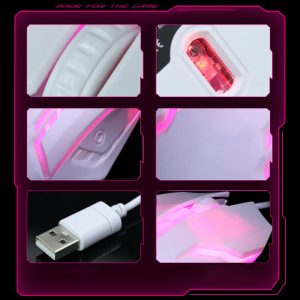 Wireless Professional