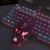 Mouse Game Light
