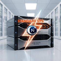 Standard vps VPS hosting: rent your high-performance and secure VPS server. Instant automated deployment, guaranteed uptime, and 24/7 technical support for your nodes.
