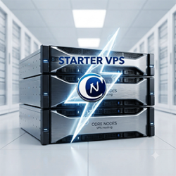 Starter VPS VPS hosting: rent your high-performance and secure VPS server. Instant automated deployment, guaranteed uptime, and 24/7 technical support for your nodes.