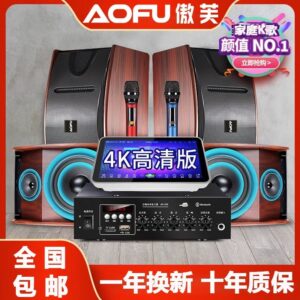 Aofu Family KTV Sound Set Home Theater Living Room Karaoke All-in-One Karaoke Machine Karaoke Speaker Full Set