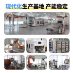 Solar Power Supply System 2500W Home Emergency Power Wall-mounted Energy Storage System Photovoltaic Mini Generator