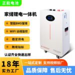 Solar Power Supply System 2500W Home Emergency Power Wall-mounted Energy Storage System Photovoltaic Mini Generator