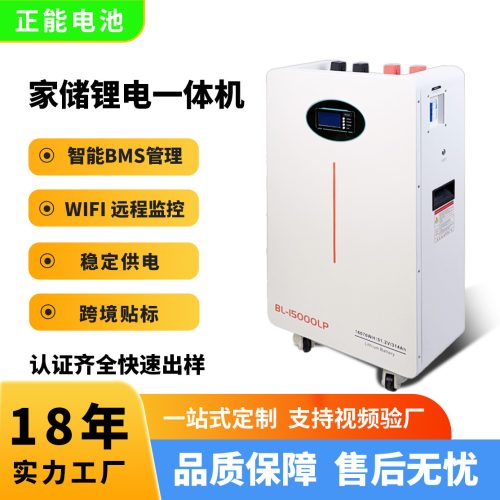 Solar Power Supply System 2500W Home Emergency Power Wall-mounted Energy Storage System Photovoltaic Mini Generator