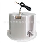 2.1 Stereo high-fidelity WIFI wireless Bluetooth ceiling speaker smart home theater music playback system