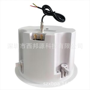 2.1 Stereo high-fidelity WIFI wireless Bluetooth ceiling speaker smart home theater music playback system
