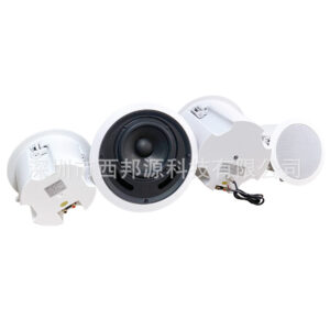2.1 Stereo high-fidelity WIFI wireless Bluetooth ceiling speaker smart home theater music playback system