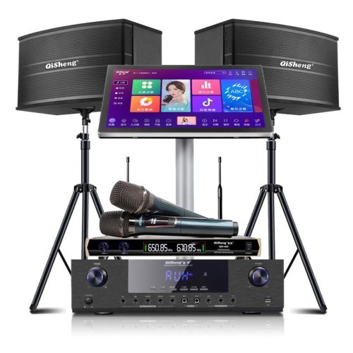 Qisheng karaoke machine, home theater, KTV audio, conference room, dance amplifier set, home karaoke dual system