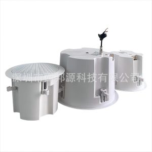 2.1 Stereo high-fidelity WIFI wireless Bluetooth ceiling speaker smart home theater music playback system