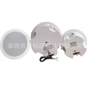 2.1 Stereo high-fidelity WIFI wireless Bluetooth ceiling speaker smart home theater music playback system