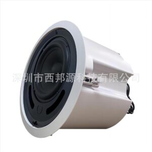 2.1 Stereo high-fidelity WIFI wireless Bluetooth ceiling speaker smart home theater music playback system