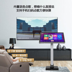 Qisheng karaoke machine, home theater, KTV audio, conference room, dance amplifier set, home karaoke dual system