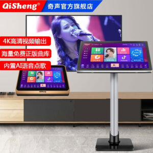 Qisheng karaoke machine, home theater, KTV audio, conference room, dance amplifier set, home karaoke dual system