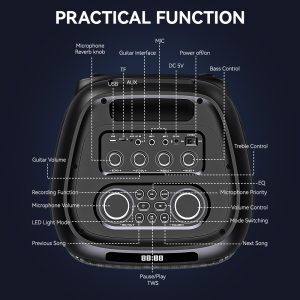 SING-E dual 12-inch 120W high-power outdoor plaza home theater Bluetooth speaker stage karaoke speaker