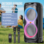 SING-E dual 12-inch 120W high-power outdoor plaza home theater Bluetooth speaker stage karaoke speaker