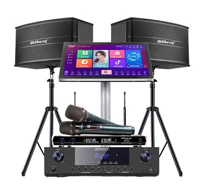 Qisheng karaoke machine, home theater, KTV audio, conference room, dance amplifier set, home karaoke dual system