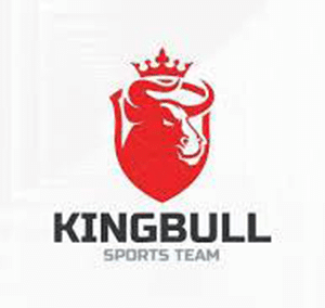 Kingbull Bikes – Expert in fat-tire electric mountain bikes | Kingbull all-terrain