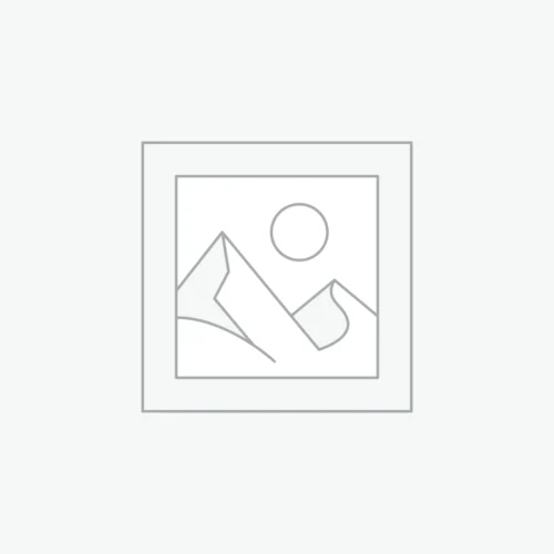 Custom global intelligent translators, offline translators for Europe, America, Japan, Korea, Southeast Asia, and multiple countries, simultaneous interpretation, remote translation
